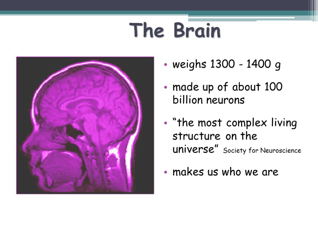 The Brain weighs 1300 - 1400 g made up of about 100 billion neurons